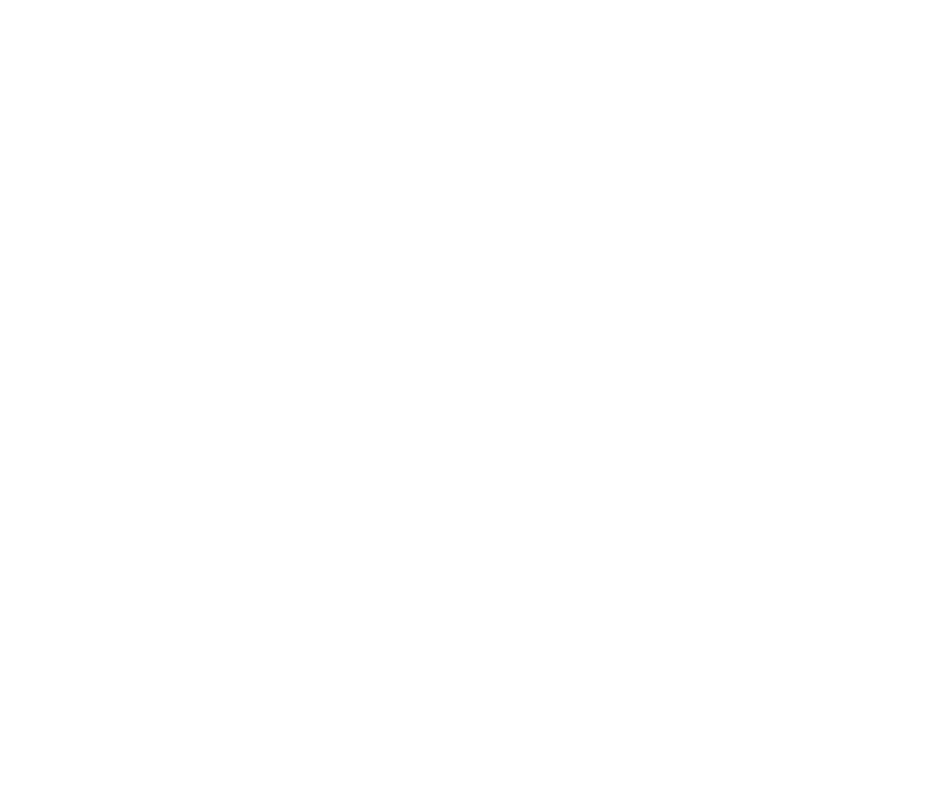 Ribbon icon